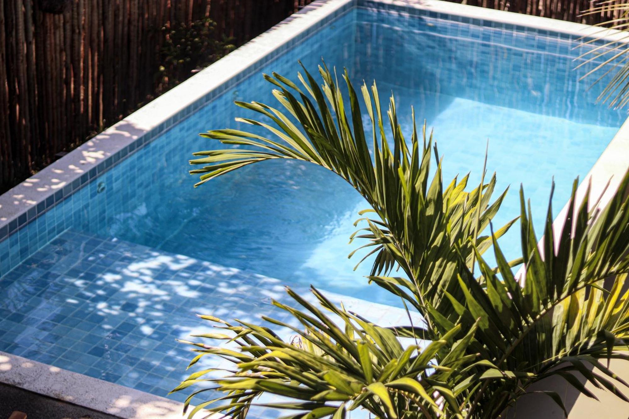 Carpe Diem Suites Taipu De Fora Marau  Bagian luar foto